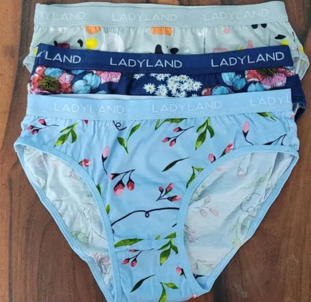 WOMEN PRINTED IMPORTED PANTY PACK OF 1