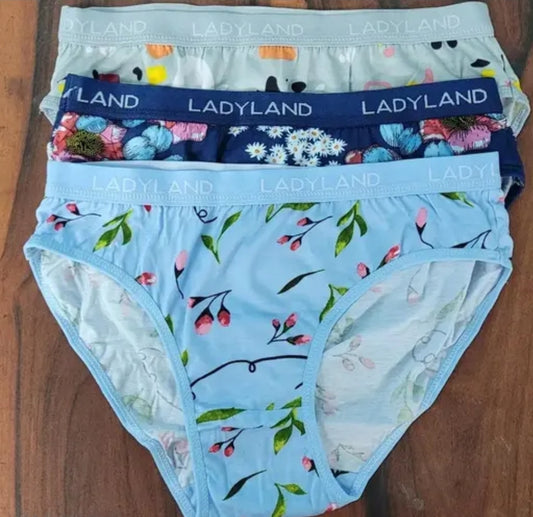 WOMEN PRINTED IMPORTED PANTY PACK OF 1