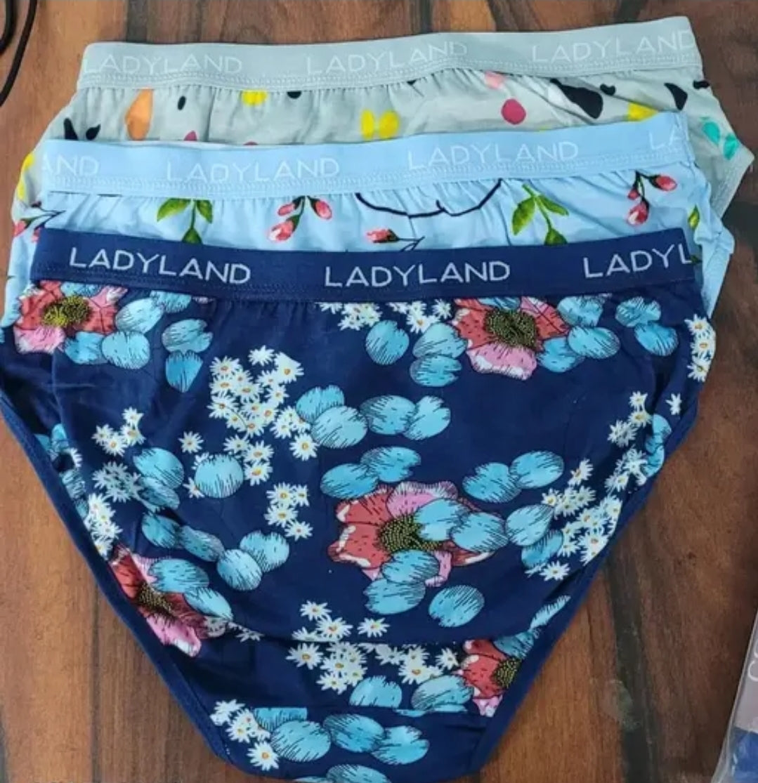 WOMEN PRINTED IMPORTED PANTY PACK OF 1